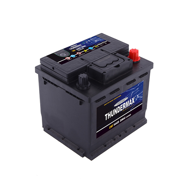 Componenti e struttura della batteria per auto senza manutenzione